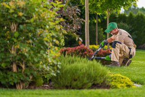 landscaping